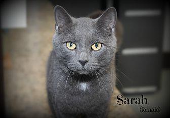 Sarah (20207054)