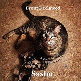 Sasha (19224890)