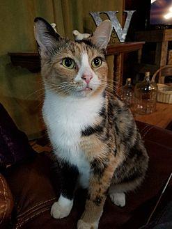 Serafina (20854821)