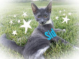 Sid (20586363)