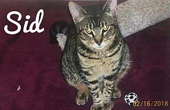 SID (20706709)