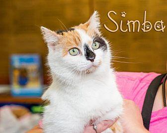 Simba (20862558)
