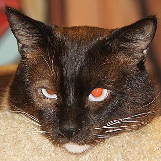 Simon (20928534)