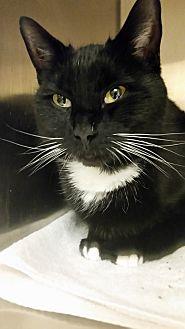 Simon (21096428)