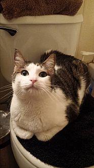 simone (20543890)