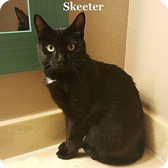 Skeeter (15303833)