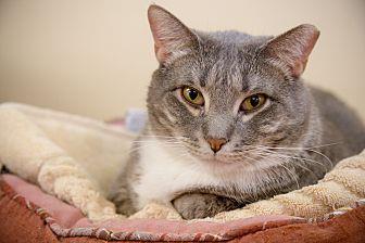 Smokey (20533441)