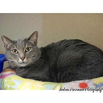 Smokey (20714367)