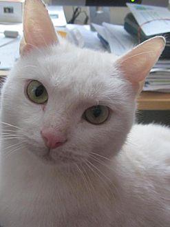 Smudge (20491856)