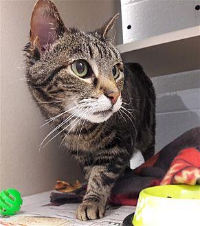 Snickers (21039817)