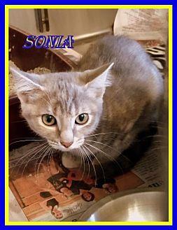 Sonia (19184641)