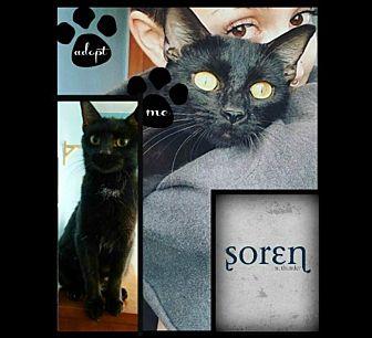 Soren (20937491)