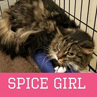 Spice Girl (20792184)