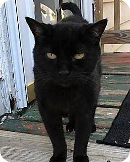 Spook (17722826)