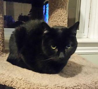 Spooky (20131635)