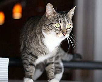 Stella (15468999)