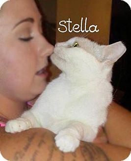 Stella (18870656)