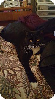 Stinker (14554521)
