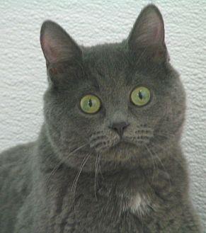 Sunni (19754926)