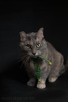Suzie (20948562)