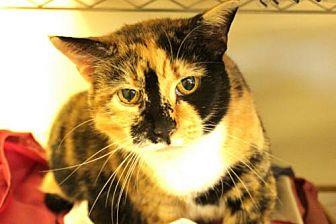 Sweetie (19522441)