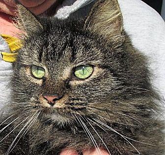 Tabitha (20093048)