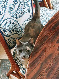 Tabitha (20836416)