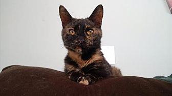 Tammy (20838288)