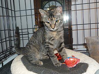 Tara (19317144)