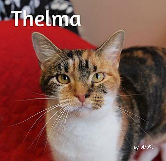 Thelma (20911560)