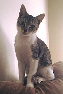 THEO (14659994)