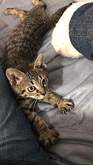Theo (21086927)