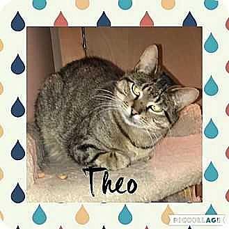 Theodore (20177310)