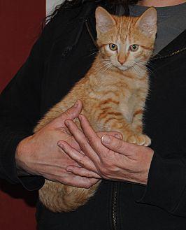 Tiggar (20023716)