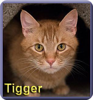 Tigger (18228071)
