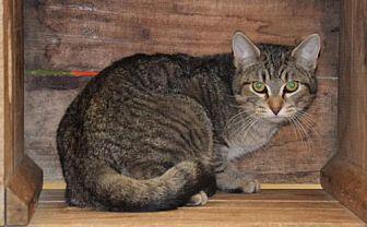 Tigger (20255853)