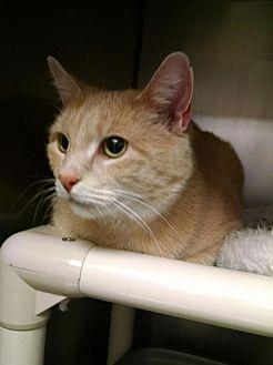 Tigger (20874065)