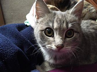 Tina (20941405)