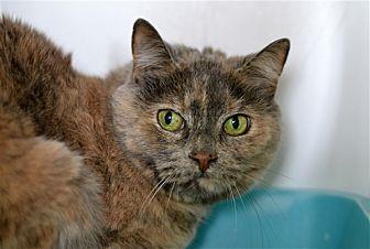 Tina (21070732)