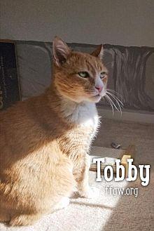 Tobby (21045996)