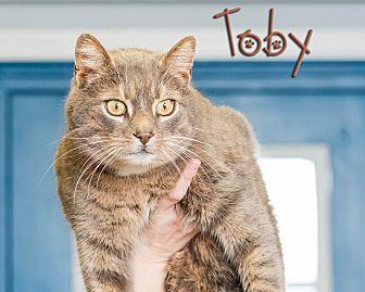 Toby (21053594)