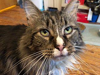 Toby (21056882)