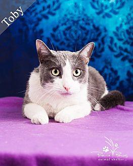 Toby *Partia (20755024)