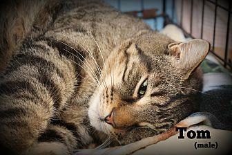 Tom (20617693)