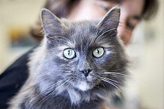 Tootsie (20905166)