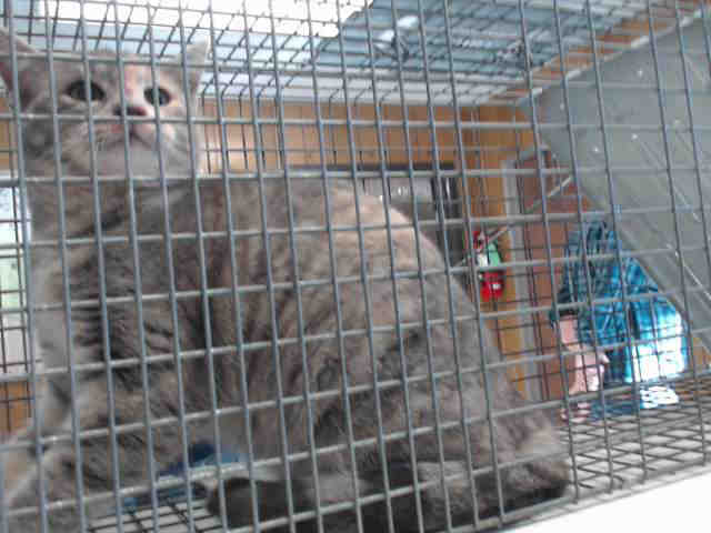 TORI (A002934)