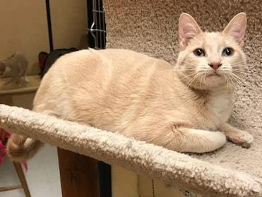 *TRIXIE (A719126)