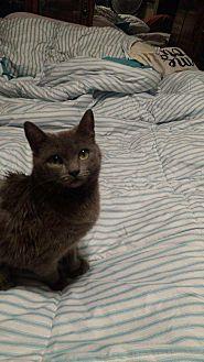 Trudy (20758588)