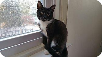 Tucker (15859122)