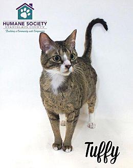 TUFFY (20717287)